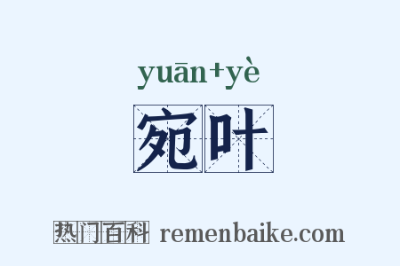 宛叶是什么意思的图片